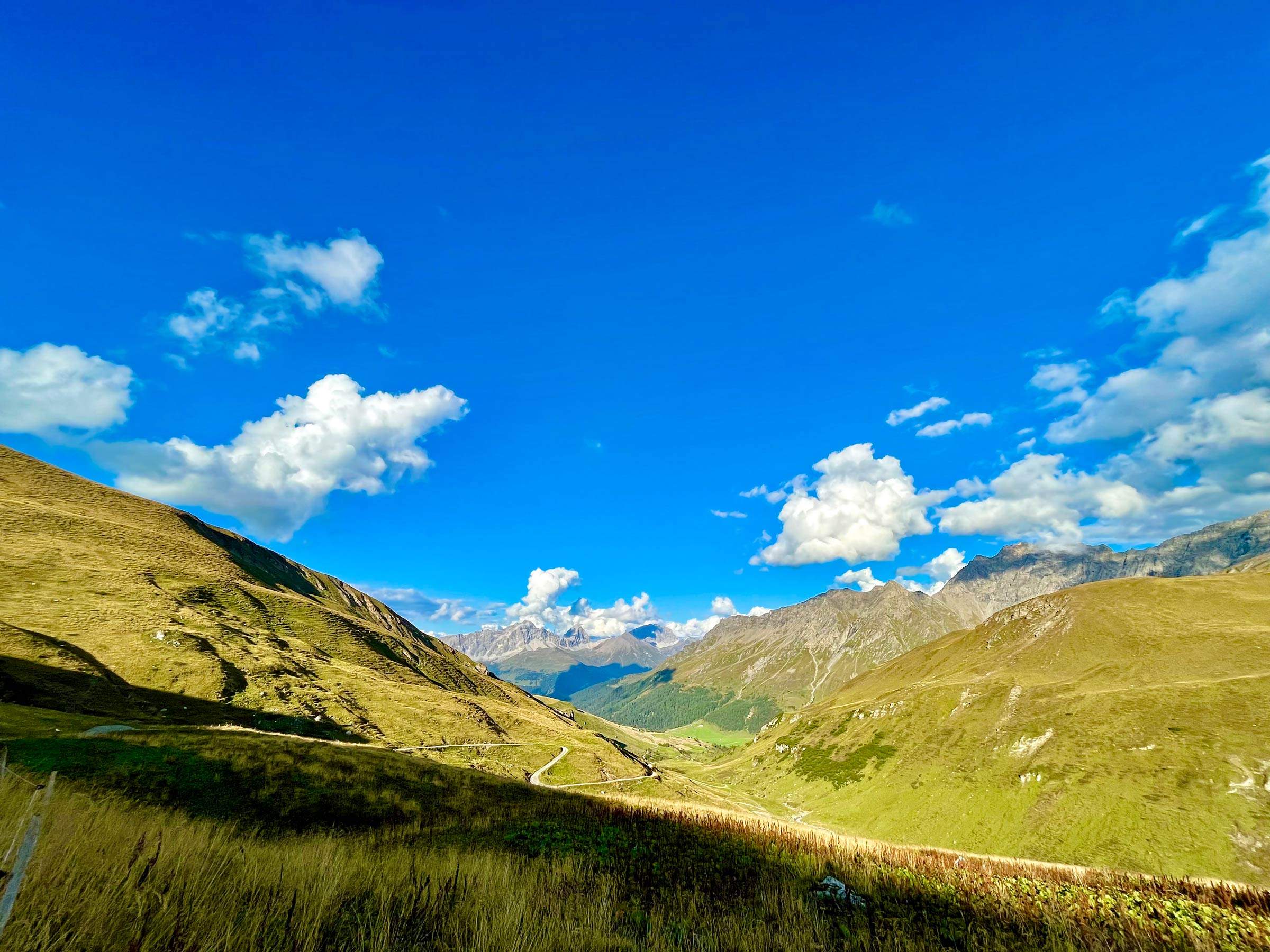 Wanderweg in Sommerstimmung