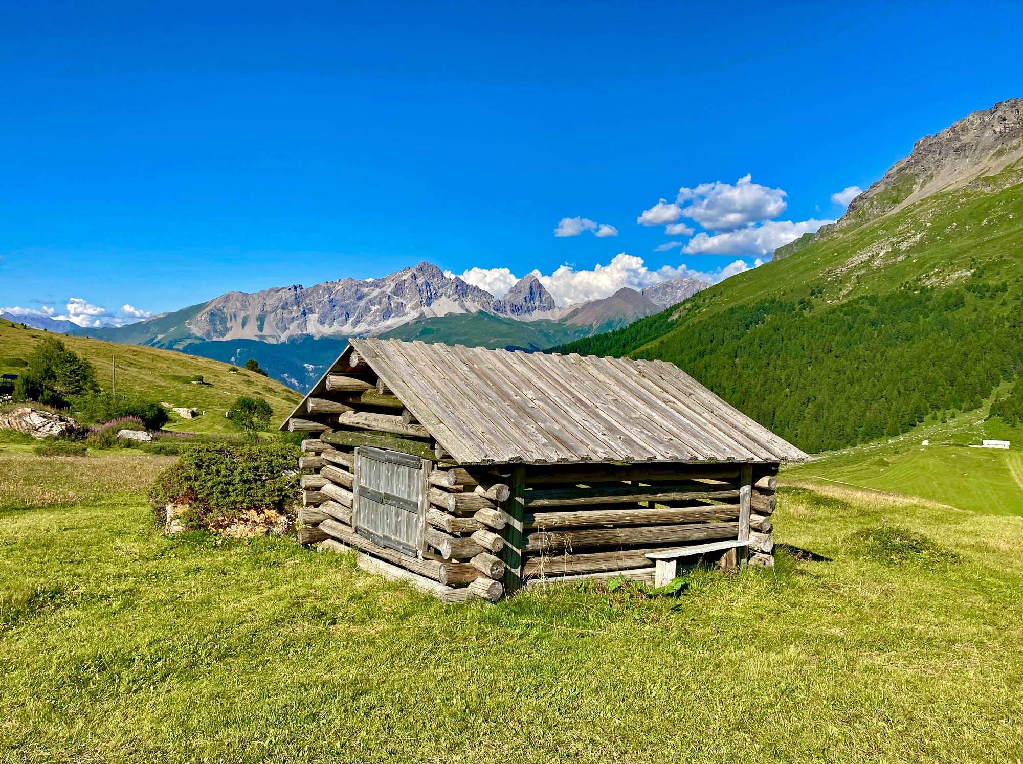 Maiensäss-Dorf Radons mit Bergpanorama im Sommer
